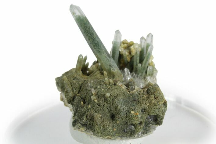 Chlorite Included Quartz Crystal Cluster - Peru #347796